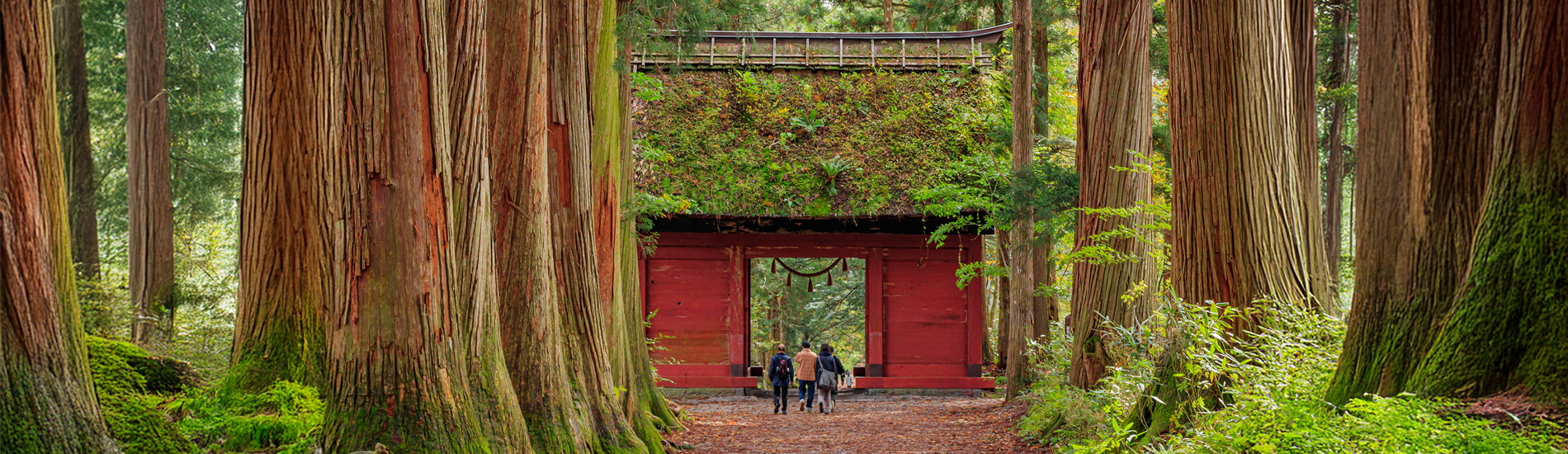 長野 戶隱神社奧社