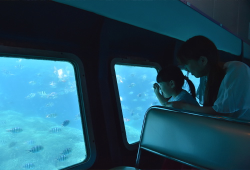 半潛水船 探索宮古藍海底世界